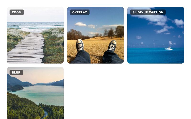 Image Hover Effects